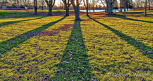 Sunrise Shadows_P1220399.jpg - Photographed along the Rideau Canal Waterway near Smiths Falls, Ontario, Canada.